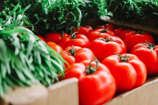 fresh organic vegetables at the market