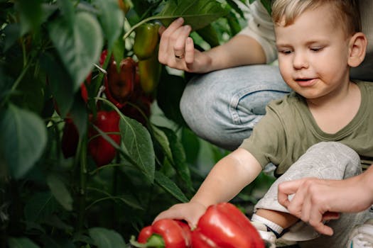 children planting vegetables in a garden