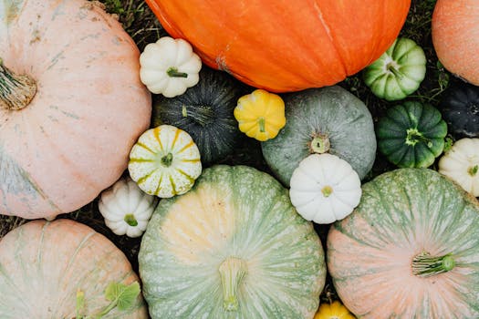 colorful vegetable garden