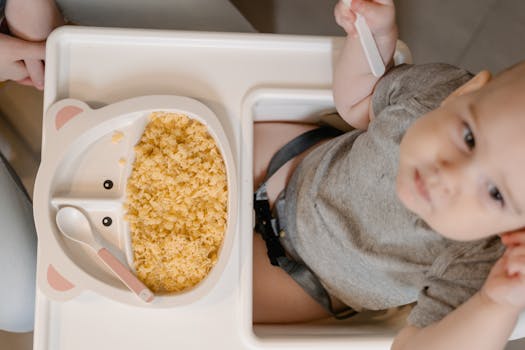 Healthy Toddler Meal Example